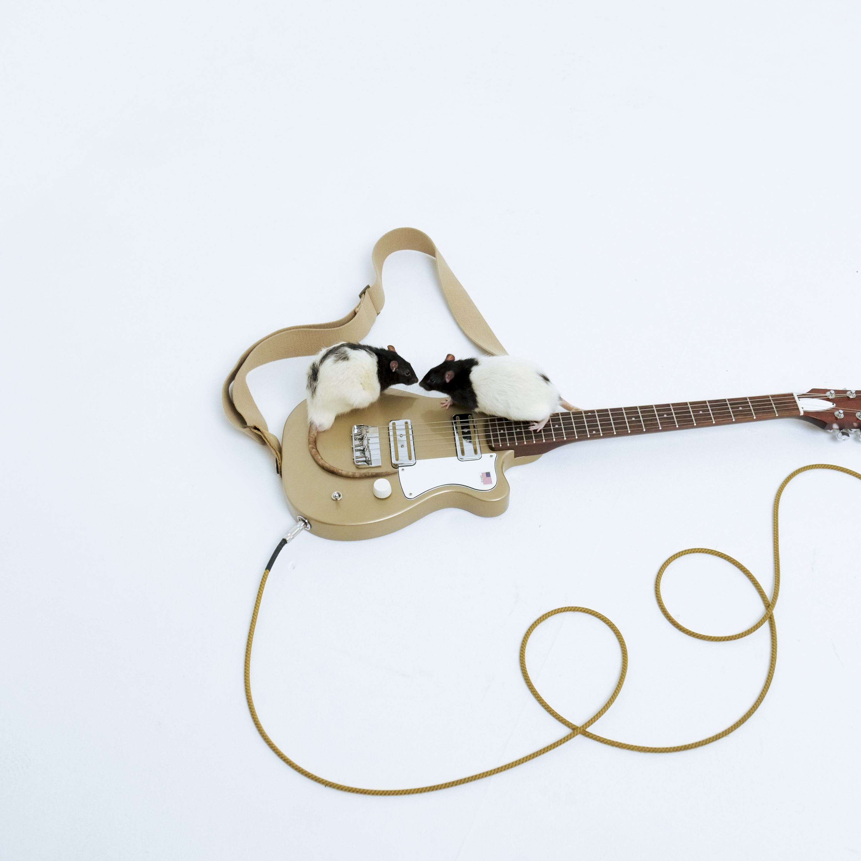 LEARNING HOW TO SWIM